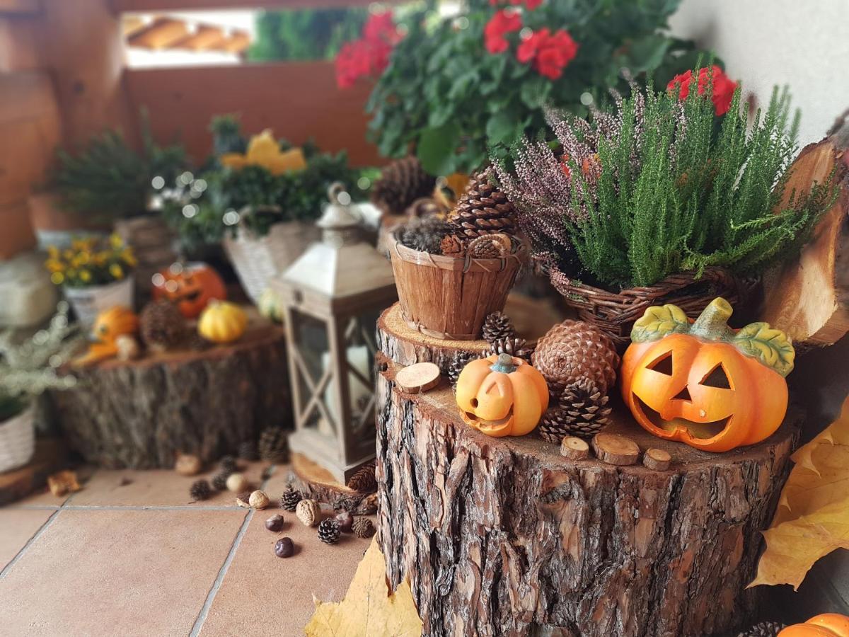 Lesny Dworek Zakopane Luaran gambar
